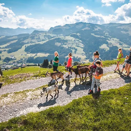 Erwin-2 By Interhome Lägenhet *