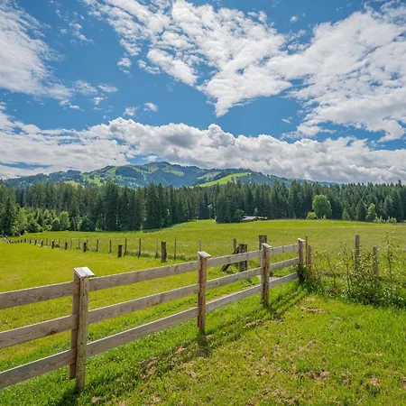 Erwin-2 By Interhome